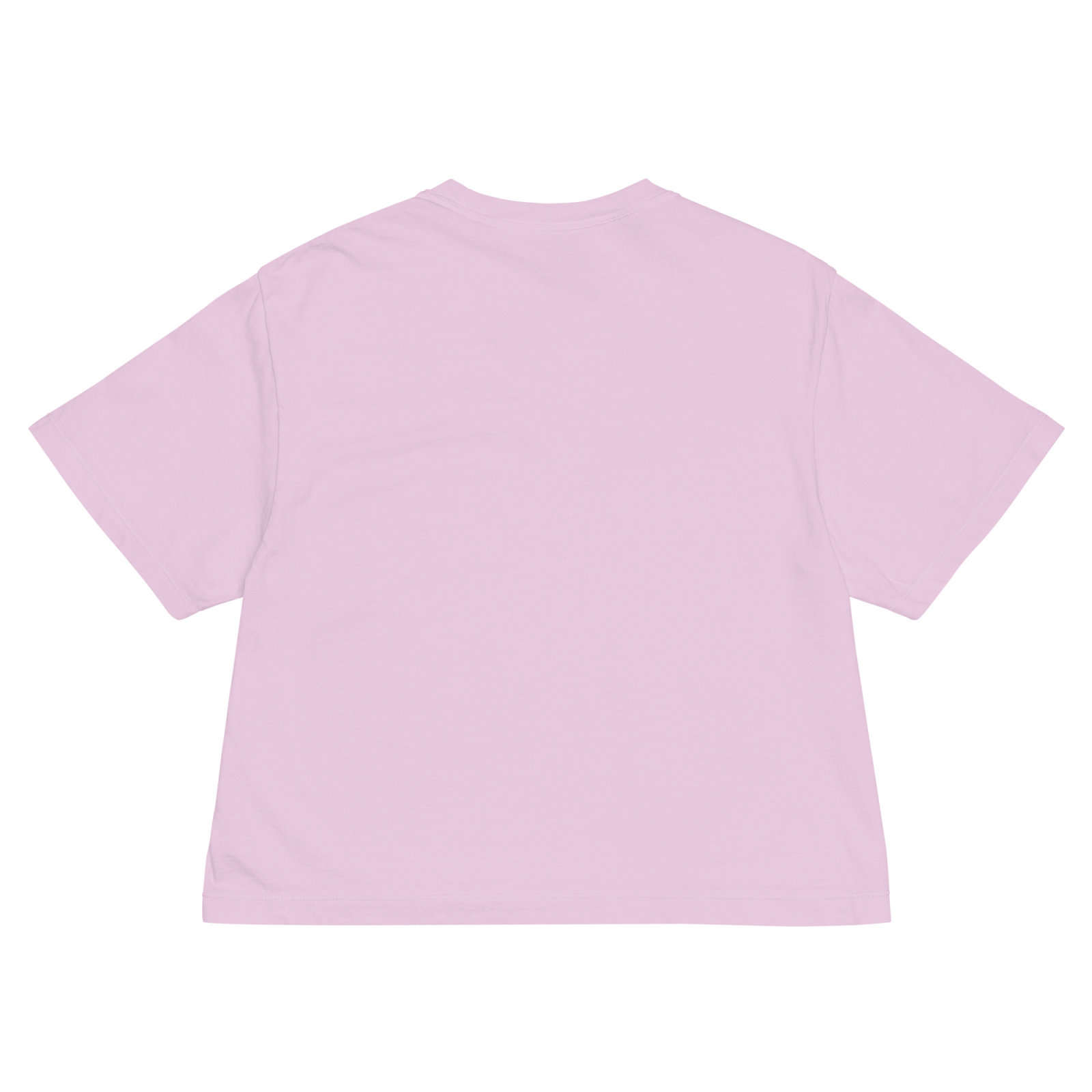 Her Feather Heavy Boxy Tee - BlooomiT