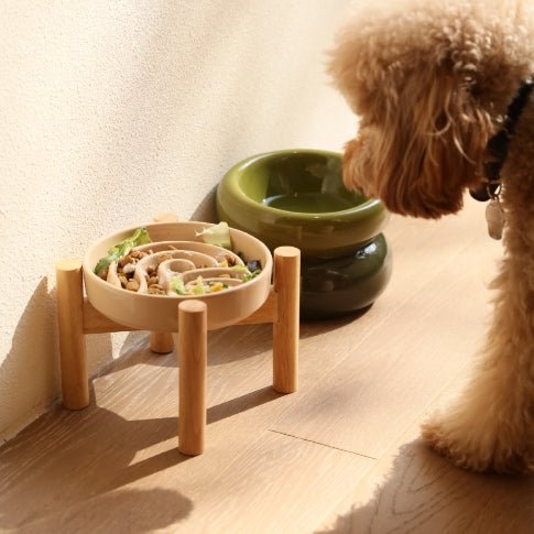 Slow Feeder Dog Bowls - BlooomiT