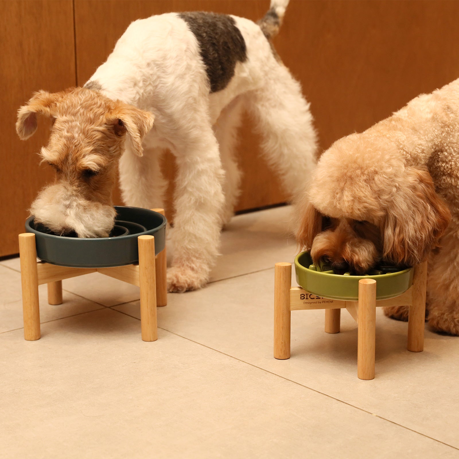 Slow Feeder Dog Bowls - BlooomiT